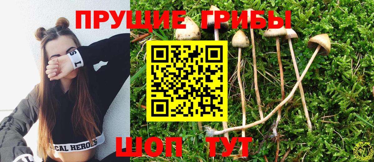 Иркутск  Галлюциногенные грибы Psilocybe  Вход с VPN  Псилоцибиновые грибы мухоморы 